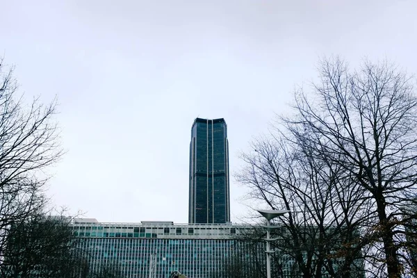 Niski kąt ujęcia drzew ze szklanym budynkiem i wieżą w tle — Zdjęcie stockowe