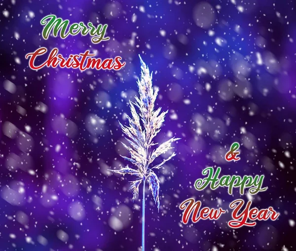 Illustratie van een poster van Kerstmis en Nieuwjaar met een dennenboom en sneeuwvlokken — Stockfoto