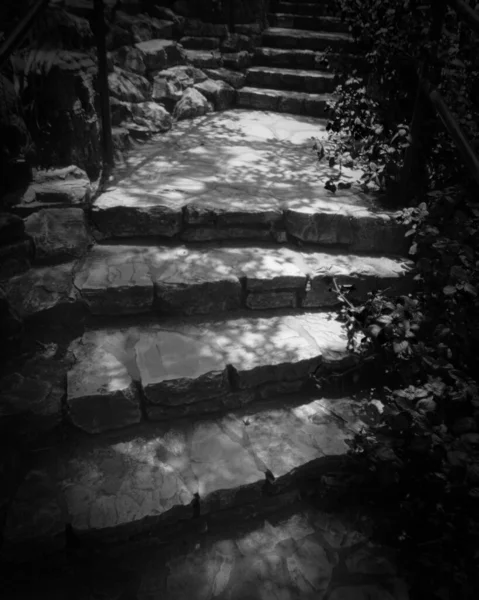 Escala vertical a escala de grises de una escalera de piedra con sombras de las plantas que crecen al lado — Foto de Stock