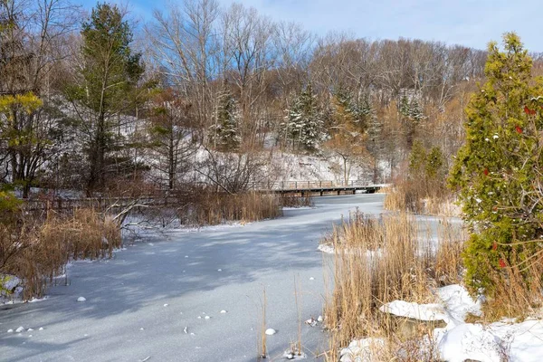 Ein Gefrorener Fluss Einem Feld Umgeben Von Trockenem Grün Und — Stockfoto