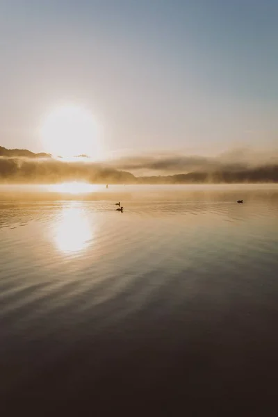 Krásná Scenérie Racků Letících Nad Jezerem Odrazem Východu Slunce Novém — Stock fotografie
