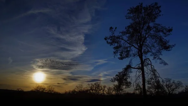 Bel tramonto nel cielo su una valle con sagome di alberi — Foto Stock