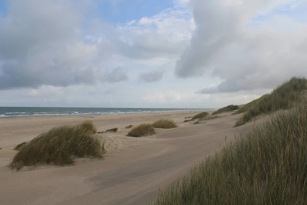 Eine Meeresküste Mit Murmelgras Und Glitschigen Sanddünen Einem Bewölkten Tag — Stockfoto