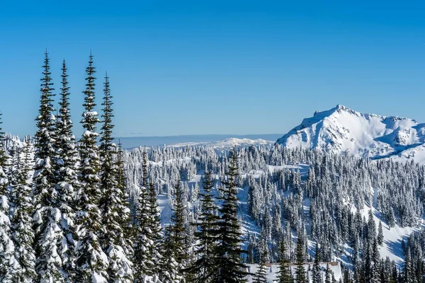 雪に覆われた山の風景と背景に岩と常緑樹 — ストック写真