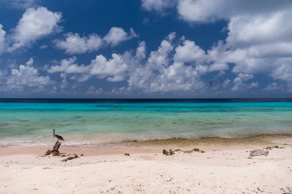 Una Hermosa Playa Para Pasar Una Agradable Tarde Verano Bonaire —  Fotos de Stock