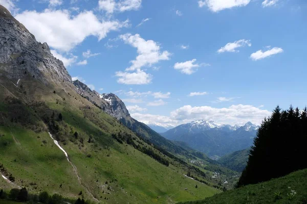 Krajina švýcarských Alp pokrytá lesy a s horami na rozmazaném pozadí — Stock fotografie