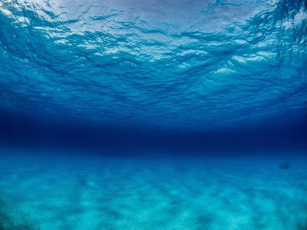 Paisagem subaquática de tirar o fôlego do mundo mágico do oceano — Fotografia de Stock