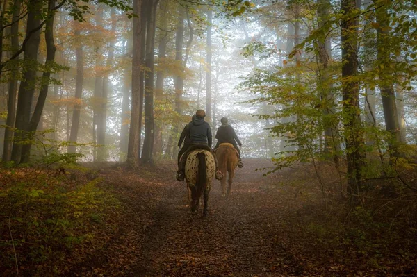 Ormanda düşen sonbahar yapraklarıyla at süren çocuklar. — Stok fotoğraf