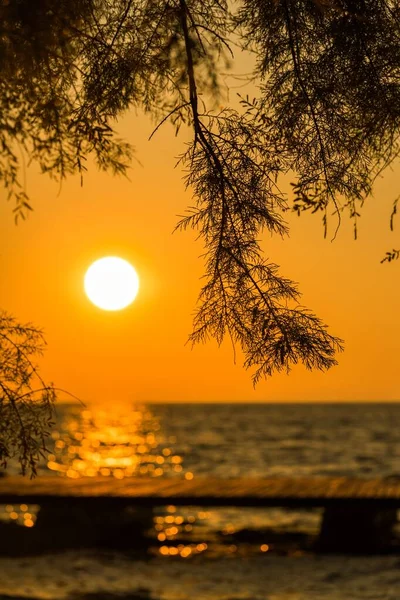 Rami di albero con la splendida vista del tramonto che si riflette nel mare sullo sfondo — Foto Stock