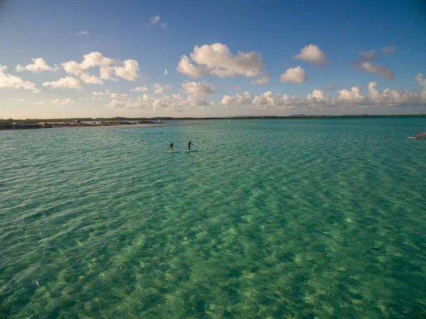 Foto de ángulo alto del hermoso océano rodeado de paisajes verdes en Bonaire, Caribe — Foto de Stock