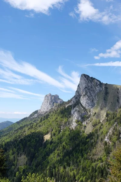 Függőleges lövés a svájci Alpokban borított erdők alatt kék ég közelében a francia határ — Stock Fotó