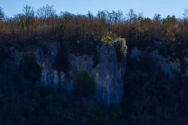 Rotsen en een bos in de buurt van een donkere kloof in Istrië, Kroatië — Stockfoto