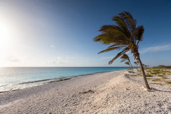 Lever de soleil à couper le souffle à la plage tropicale parfaite pour passer des vacances à Bonaire, Caraïbes — Photo