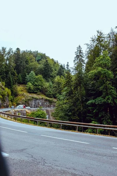 Tiro vertical de una carretera rodeada de hermosos paisajes verdes —  Fotos de Stock