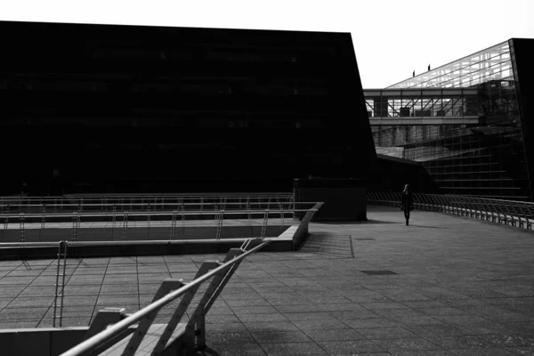 Escala de cinza de uma menina caminhando por um parque cercado por edifícios modernos com paredes de vidro — Fotografia de Stock