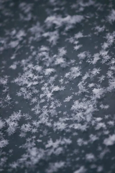 Κοντινό πλάνο των όμορφων μεγάλων πεσμένων σωματιδίων χιονιού με εκπληκτικά μοτίβα σε μια γκρίζα επιφάνεια — Φωτογραφία Αρχείου