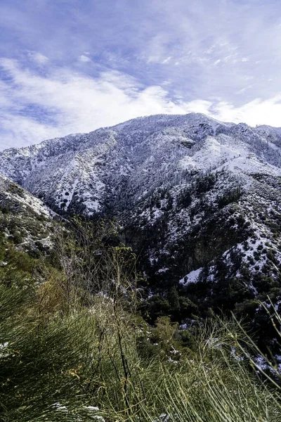 Een Landschap Van Bergen Omringd Door Groen Bedekt Met Sneeuw — Stockfoto