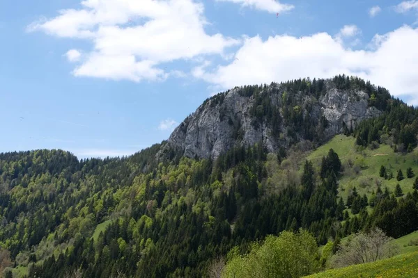 Paisagem dos alpes suíços coberta de florestas ad rocks sob um céu azul nublado — Fotografia de Stock