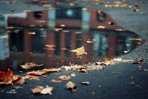 Reflection of a building in a the water on the asphalt — Stock Photo, Image