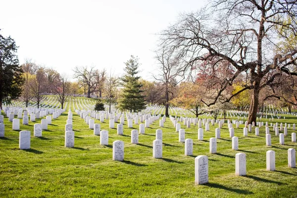 Cementerio Rodeado Muchos Árboles Con Colores Otoñales — Foto de Stock