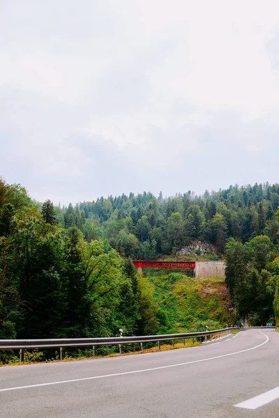 Güzel yeşil manzarayla çevrili bir yolun dikey çekimi — Stok fotoğraf
