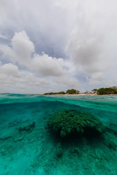 カリブ海のボネール島で海の垂直低角度ショット — ストック写真