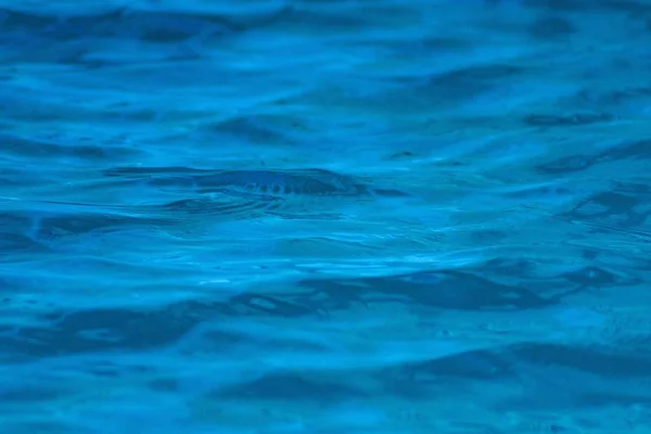 Das Schöne Reine Blaue Wasser Des Sees Perfekt Für Einen — Stockfoto