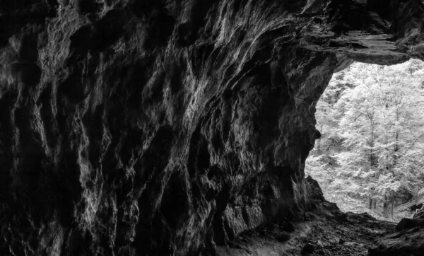 Imagem em tons de cinza da caverna Muzeva Hizica com vista para uma floresta no inverno em Skrad, Croácia — Fotografia de Stock
