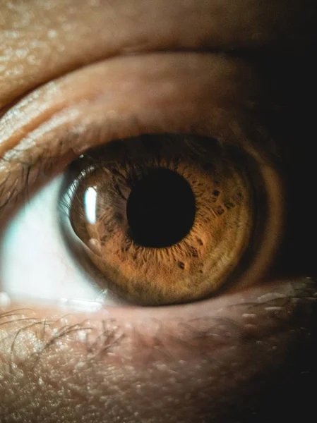 Eine Vertikale Nahaufnahme Des Braunen Auges Einer Person — Stockfoto