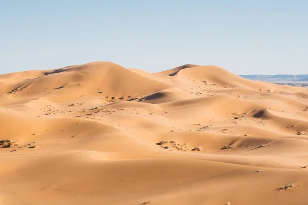非洲摩洛哥Erg Chebbi沙漠美丽的沙丘 — 图库照片