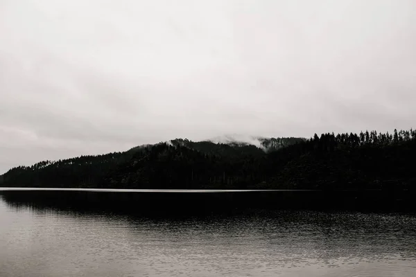 Vue en échelle grise d'un paysage herbeux reflétant dans l'eau — Photo