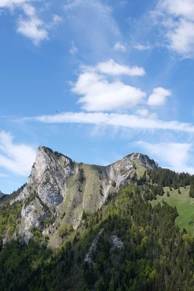 Alpes suíços cobertos com florestas sob um céu azul nublado perto da fronteira francesa — Fotografia de Stock