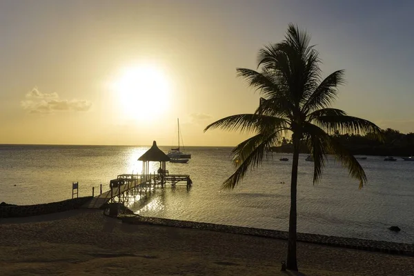 Bela paisagem do pôr do sol refletida no mar e uma única palmeira em Balaclava, Maurício — Fotografia de Stock