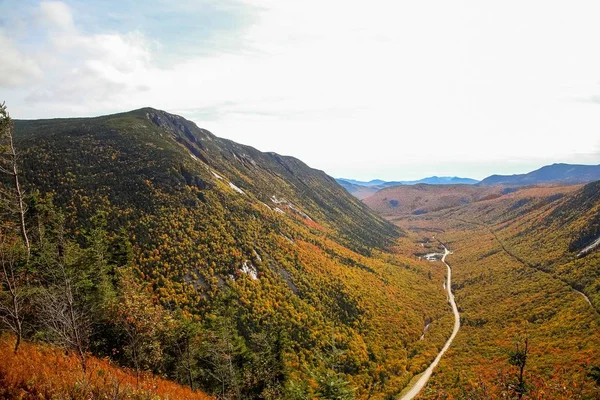 Piękna droga w lesie Mount Willard w New Hampshire — Zdjęcie stockowe