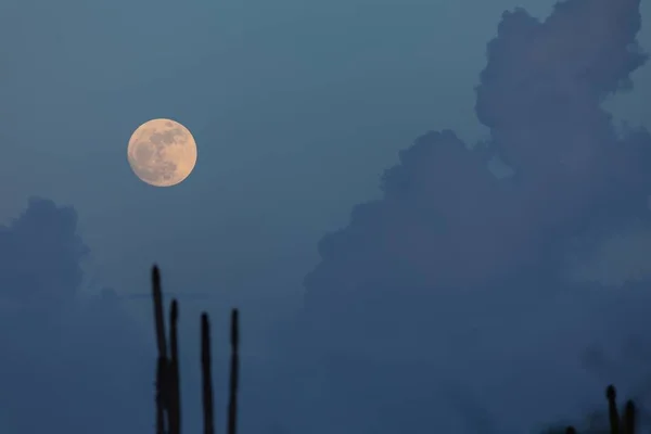 Belo tiro da lua misteriosa no céu noturno em Bonaire, Caribe — Fotografia de Stock