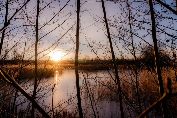 Hermoso Paisaje Puesta Sol Que Refleja Lago Rodeado Árboles Sin — Foto de Stock