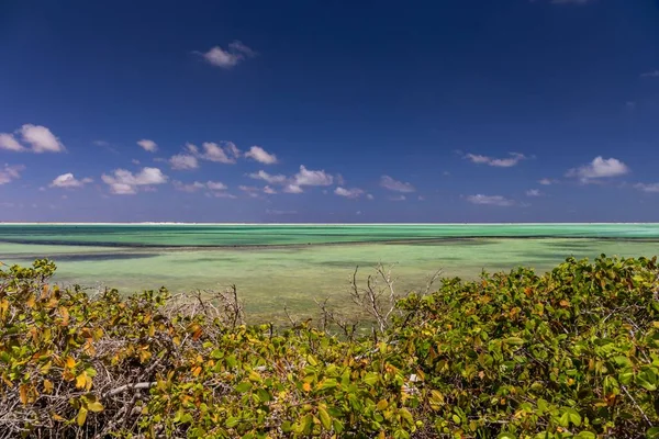 Egy Gyönyörű Táj Egy Trópusi Egzotikus Strandról Sós Serpenyőben Bonaire — Stock Fotó
