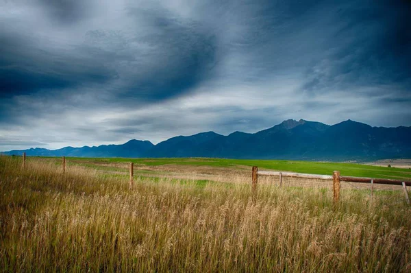 Campo lleno de espigas de trigo moviéndose hacia el viento rodeado de montañas — Foto de Stock