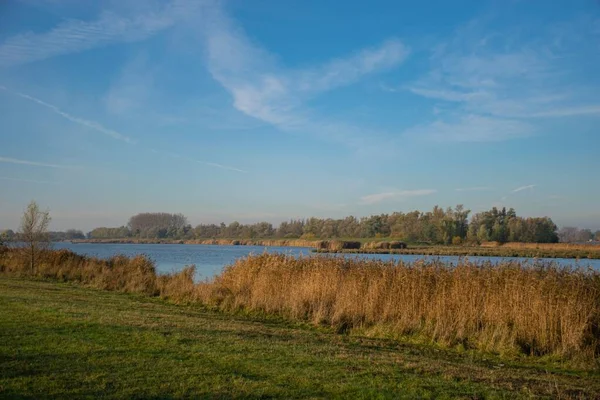 Hermoso lago rodeado de arbustos y paisaje verde en Biesbosch — Foto de Stock