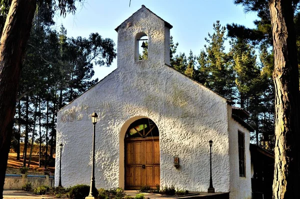 Lage hoek opname van een kerk in het midden van een bos onder de heldere lucht — Stockfoto