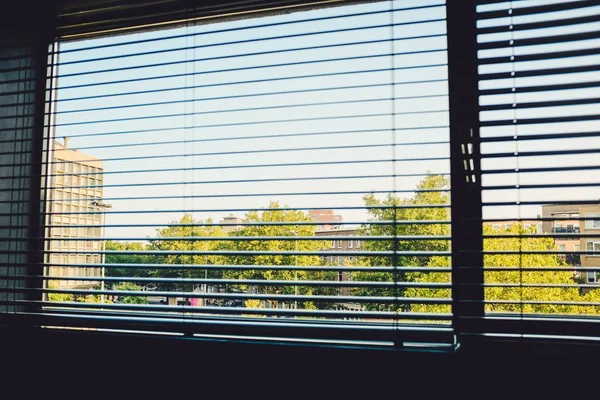 Vista para um bairro rodeado por árvores a partir de uma janela coberta de cortinas em camadas — Fotografia de Stock