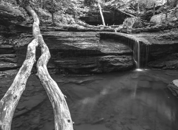 Egy Szürkeárnyalatú Vízesés Cloudland Canyon Állami Parkban Körülvéve Növényzettel Usa — Stock Fotó