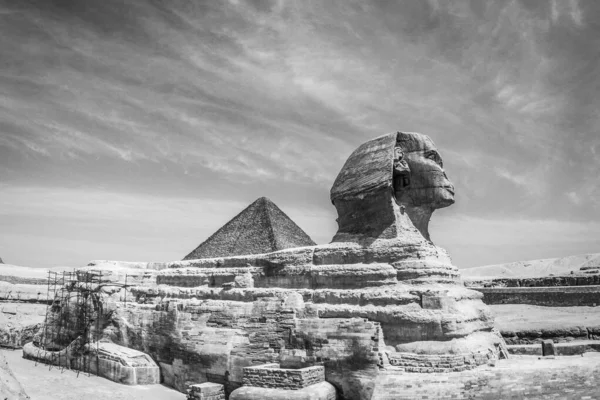 Kasvetli Gökyüzünün Altındaki Ünlü Mısır Sfenksinin Alçak Açılı Bir Görüntüsü — Stok fotoğraf