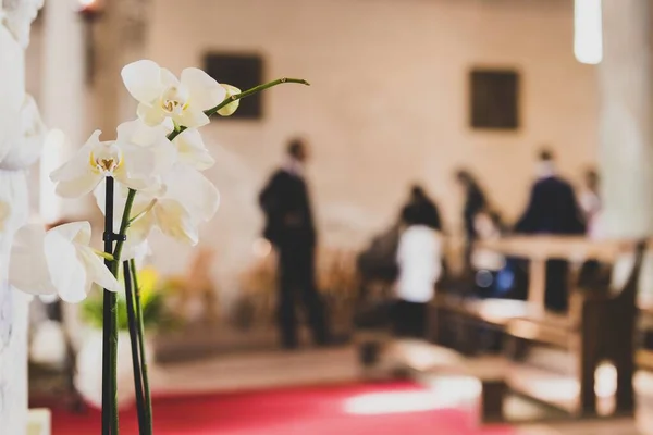 Primer plano de decoraciones de flores blancas con un fondo borroso — Foto de Stock