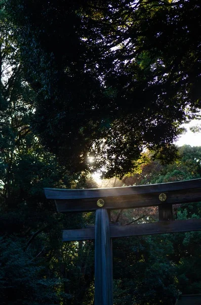 Atemberaubende Szenerie der aufgehenden Sonne über dem faszinierenden Herbstwald — Stockfoto