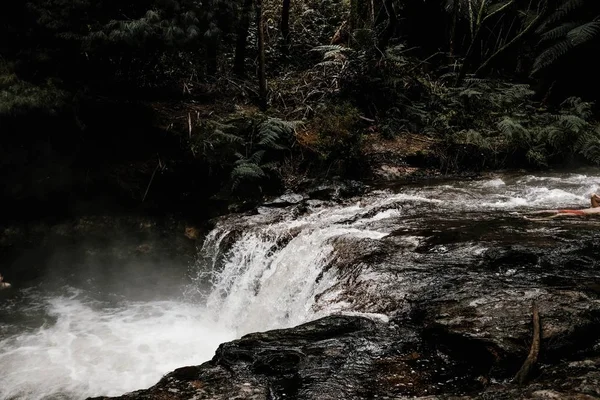 Bela paisagem de uma cachoeira em uma floresta cercada por nevoeiro e árvores em um dia chuvoso — Fotografia de Stock