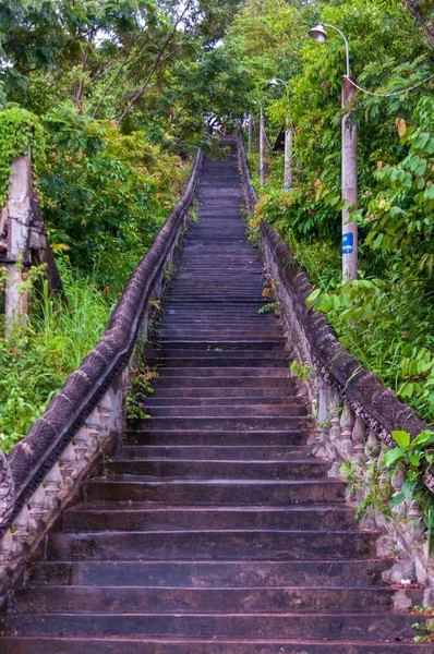 Verticale lage hoek opname van een trap omringd door verschillende soorten groene planten in Cambodja — Stockfoto