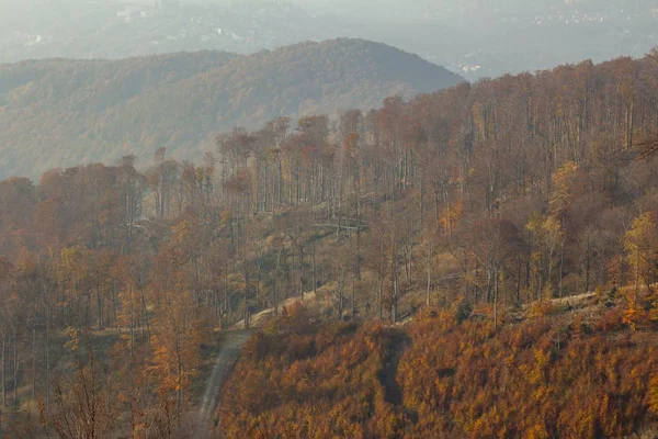 Foto de alto ángulo del otoño en la montaña Medvednica en Zagreb, Croacia . — Foto de Stock