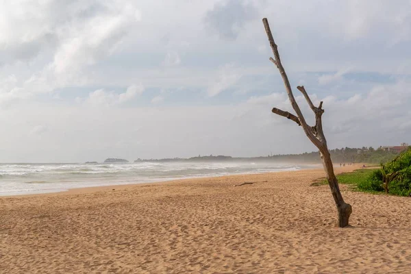 Спокійні океанічні хвилі рухаються до піщаного пляжу, створюючи ідеальну атмосферу відпочинку — стокове фото