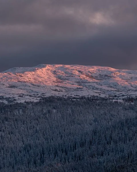 Immergrüner Wald umgeben von schneebedeckten Bergen unter wolkenverhangenem Himmel bei Sonnenuntergang — Stockfoto